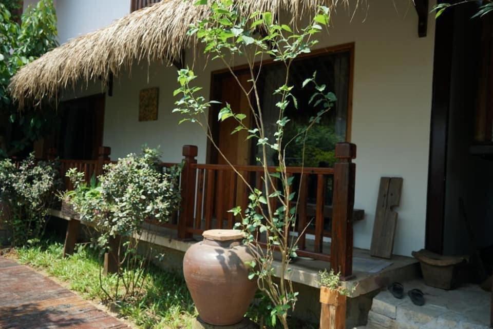 Cat Homestay Hue Exteriör bild