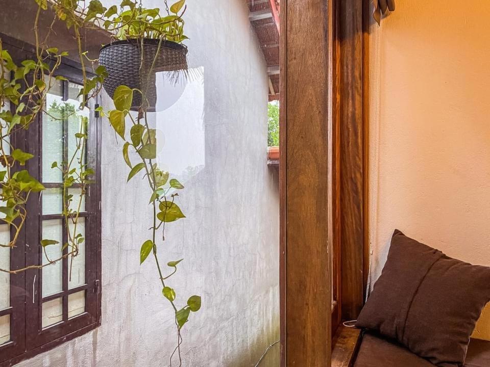 Cat Homestay Hue Exteriör bild